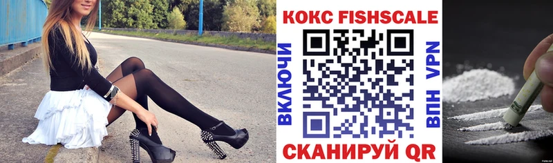 Купить где  Суджа  Cocaine 99% 