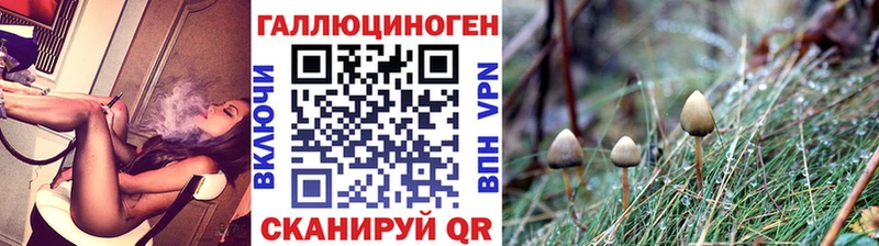 Купить где  Суджа  Галлюциногенные грибы MAGIC MUSHROOMS 